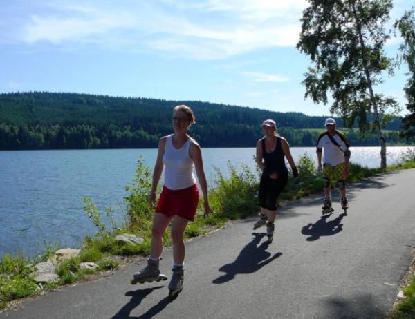 Apartman Adam Lipno nad Vltavou Bagian luar foto